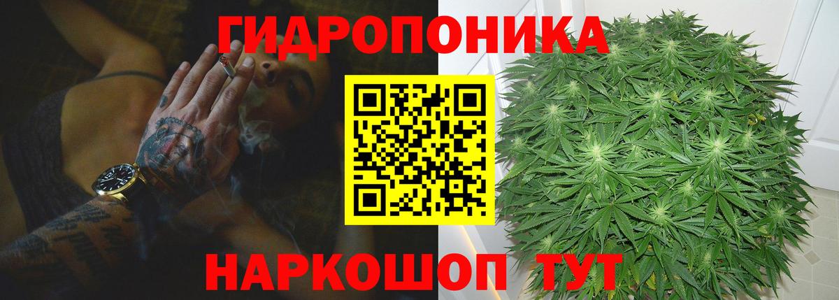 Конопля SATIVA & INDICA Архангельск
